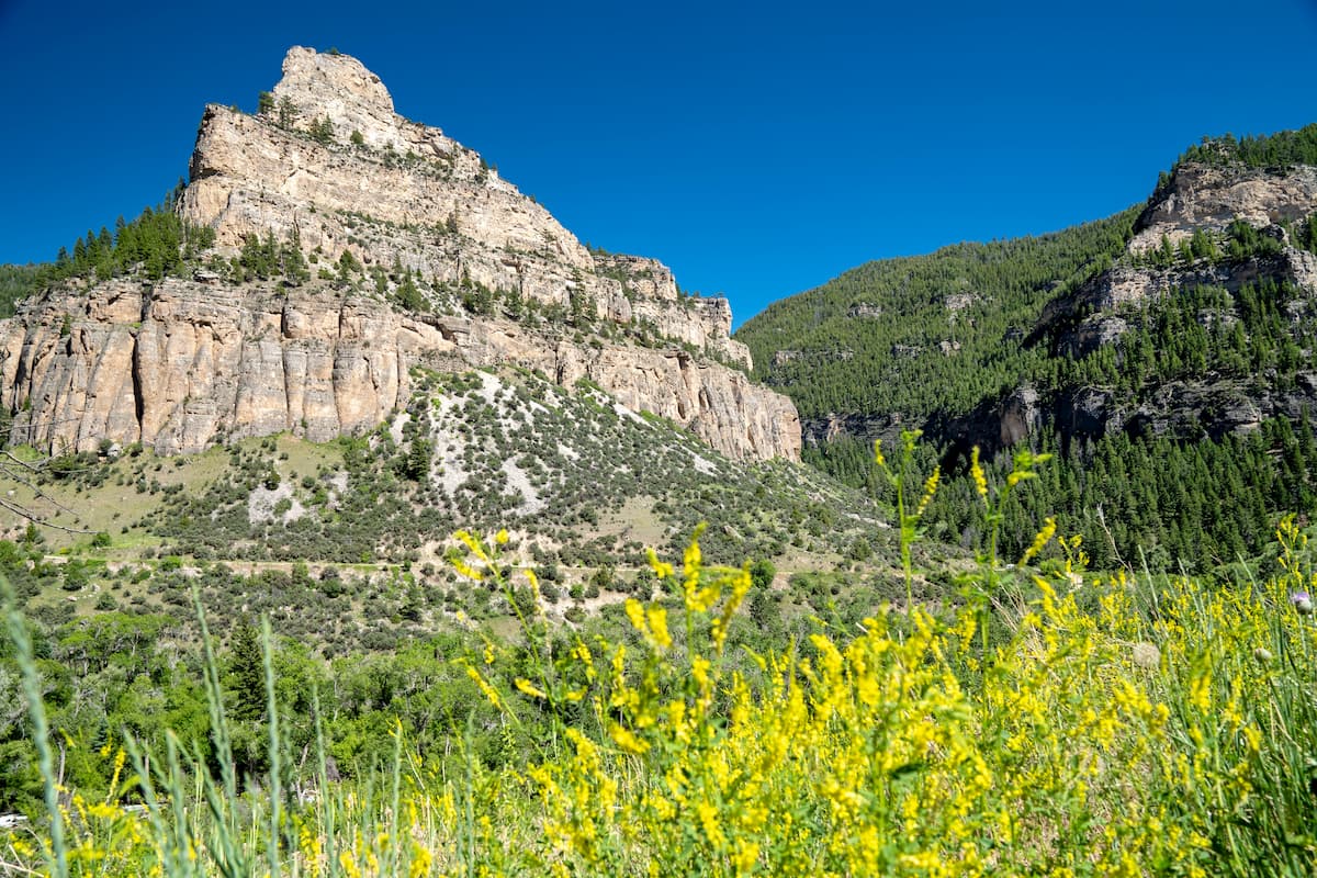 Cloud Peak. Bighorn National Forest